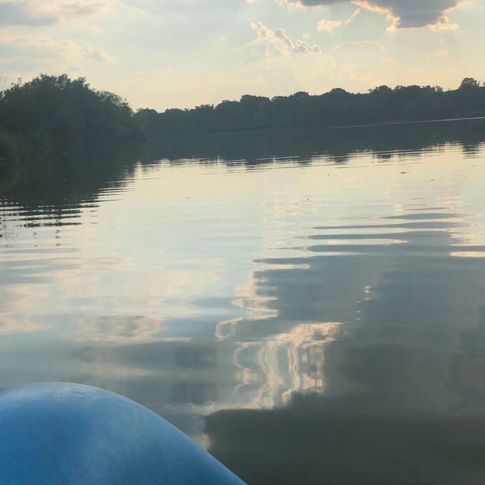 Meet your Posher, Amy